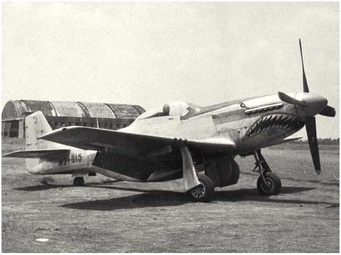 P-51DK Dutch 0.jpg