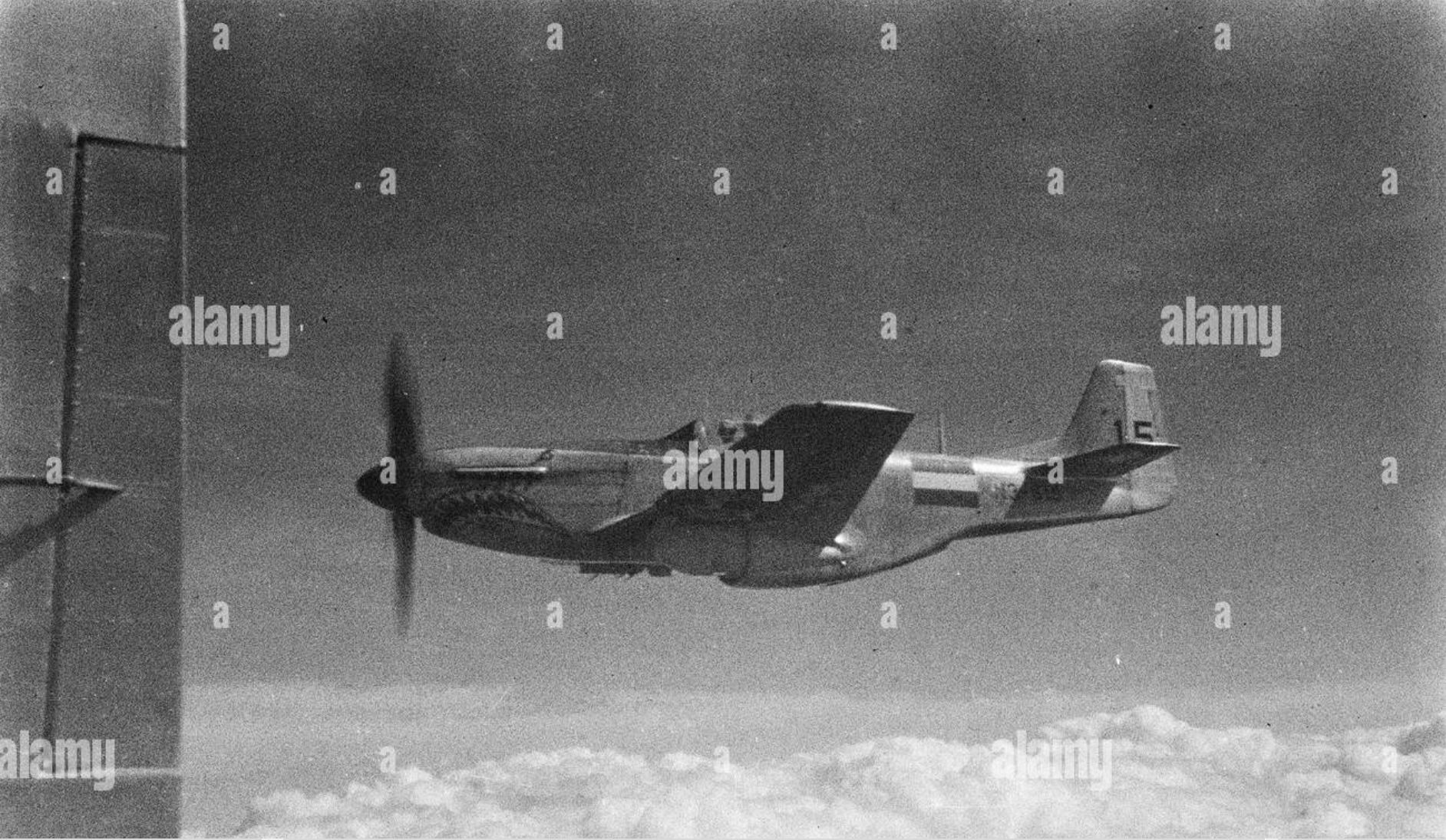P-51DK Dutch NEI 15a.jpg