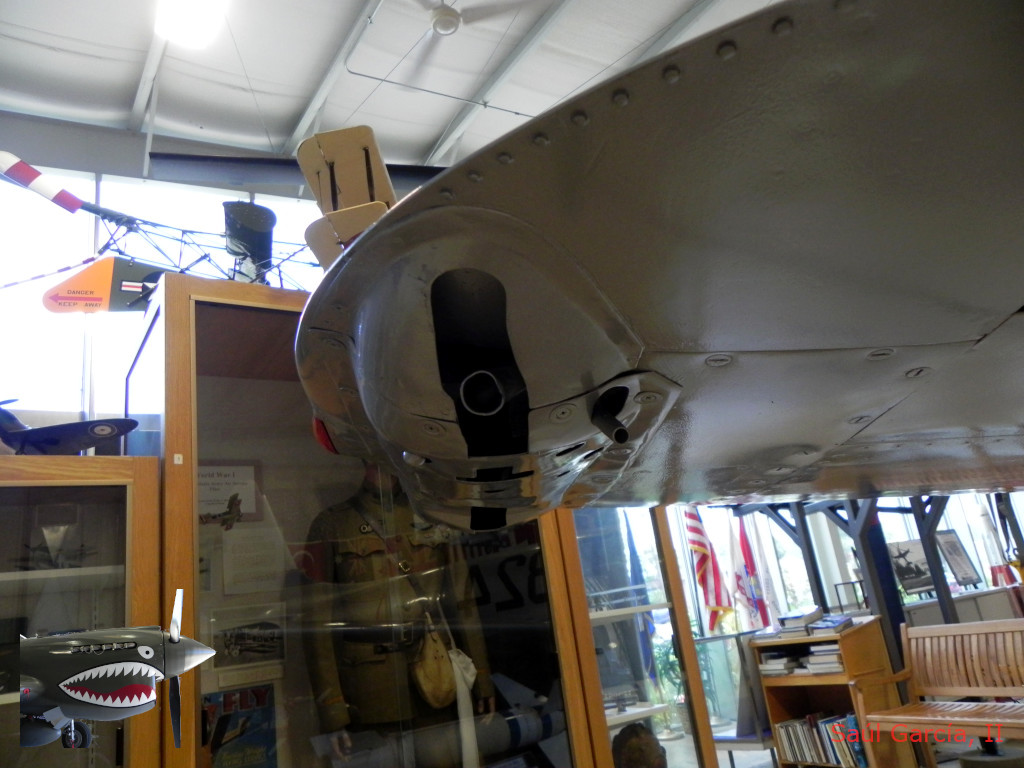 P-80 10.JPG P-80 10.JPG