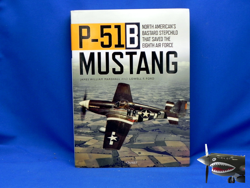 P51BMustangNABastardStepchild.JPG