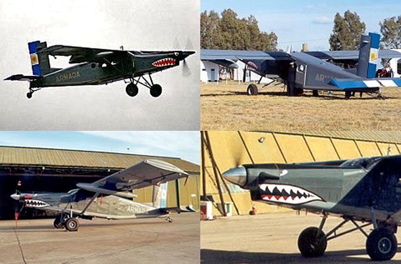 Pilatus PC-6 ANAb.jpg