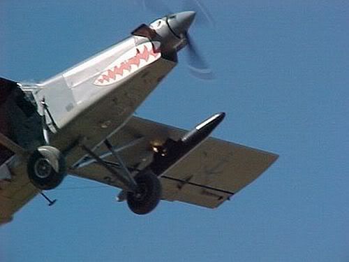 Pilatus PC-6 ANAbis.jpg