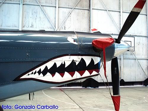 Pilatus PC-6 ANAc.jpg