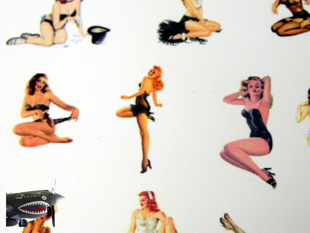 Pinup Plus decals 0004.JPG