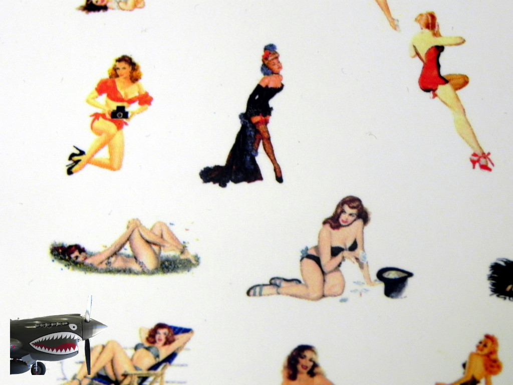 Pinup Plus decals 0005.JPG