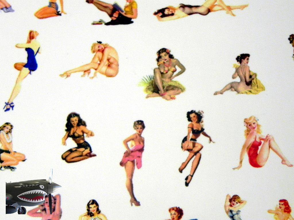 Pinup Plus decals 0006.JPG