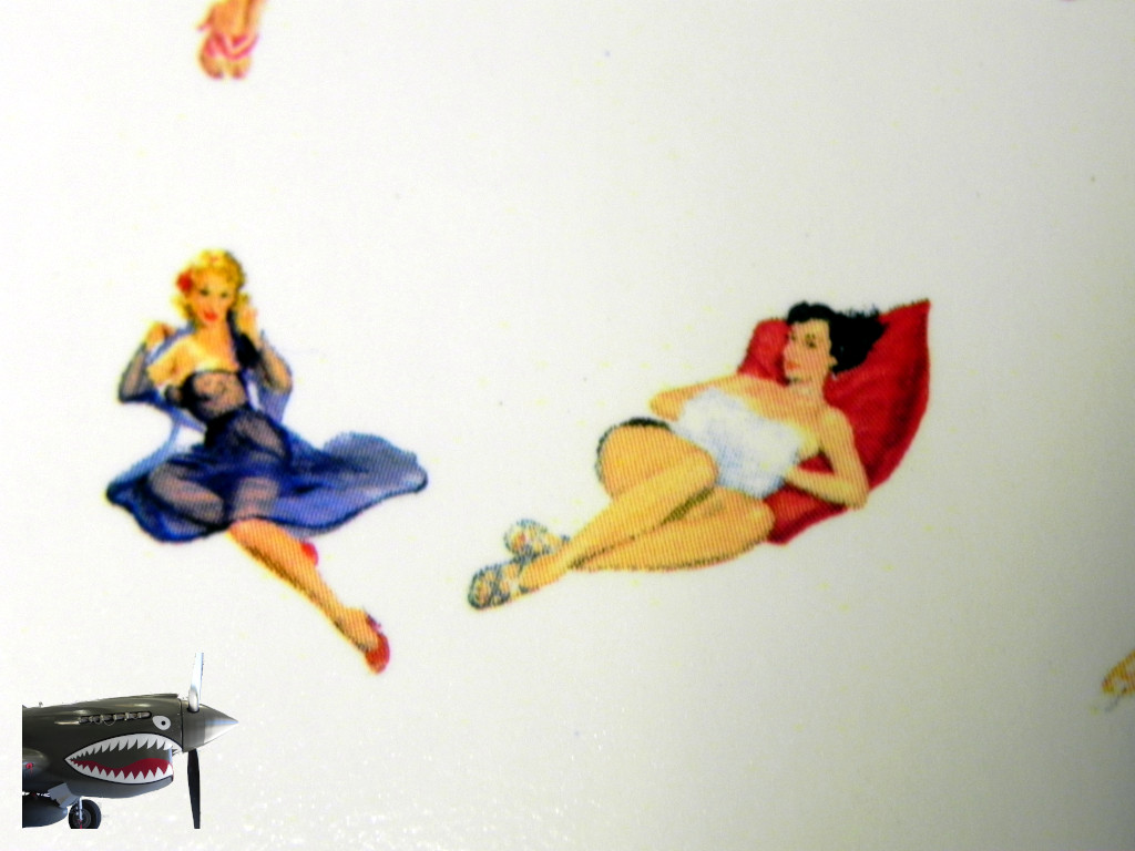 Pinup Plus decals 0007.JPG