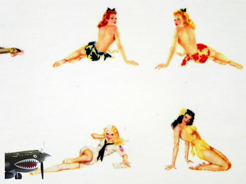 Pinup Plus decals 0008.JPG