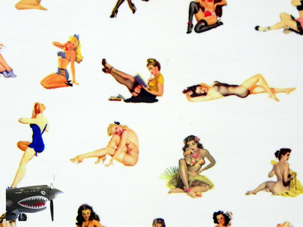 Pinup Plus decals 0009.JPG