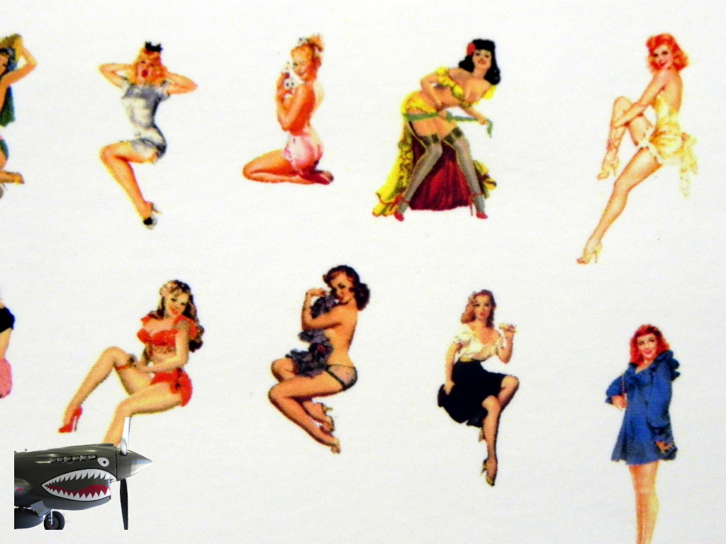 Pinup Plus decals 0010.JPG