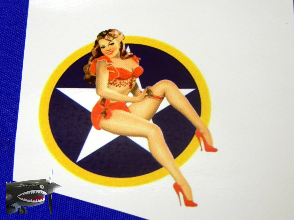 Pinup Plus decals 011.JPG