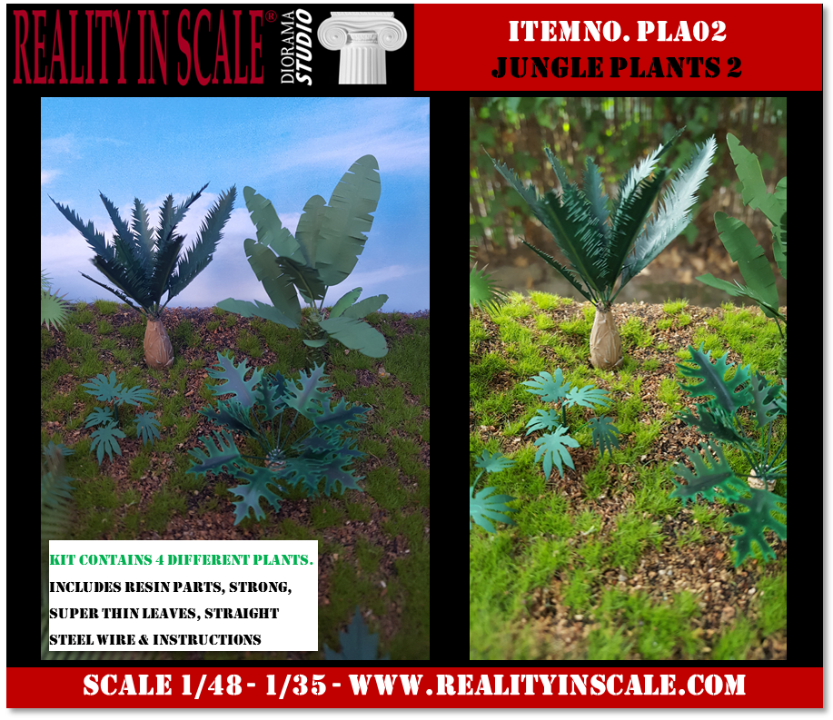PLA02_Jungle_Plants_2.png
