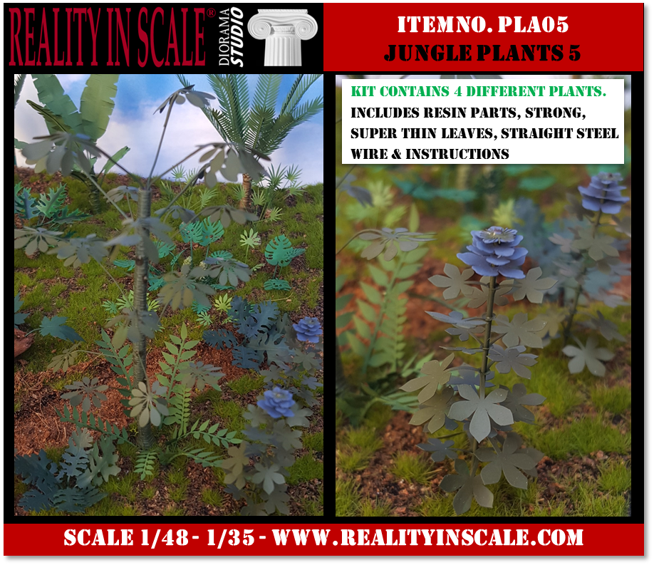 PLA05_Jungle_Plants_5.png