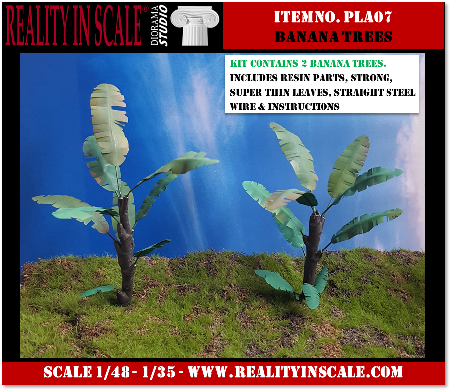 PLA07_Banana_Trees.png