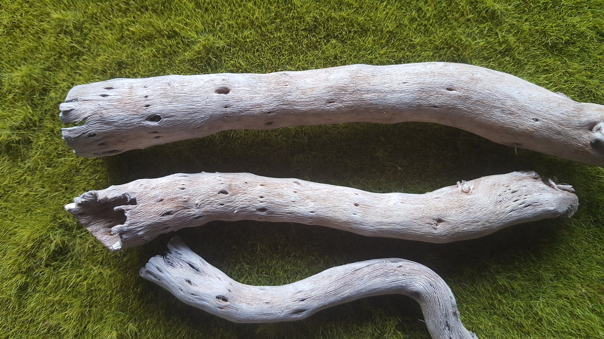 PLA08_Dead_Trees_-_Branches_2.jpg