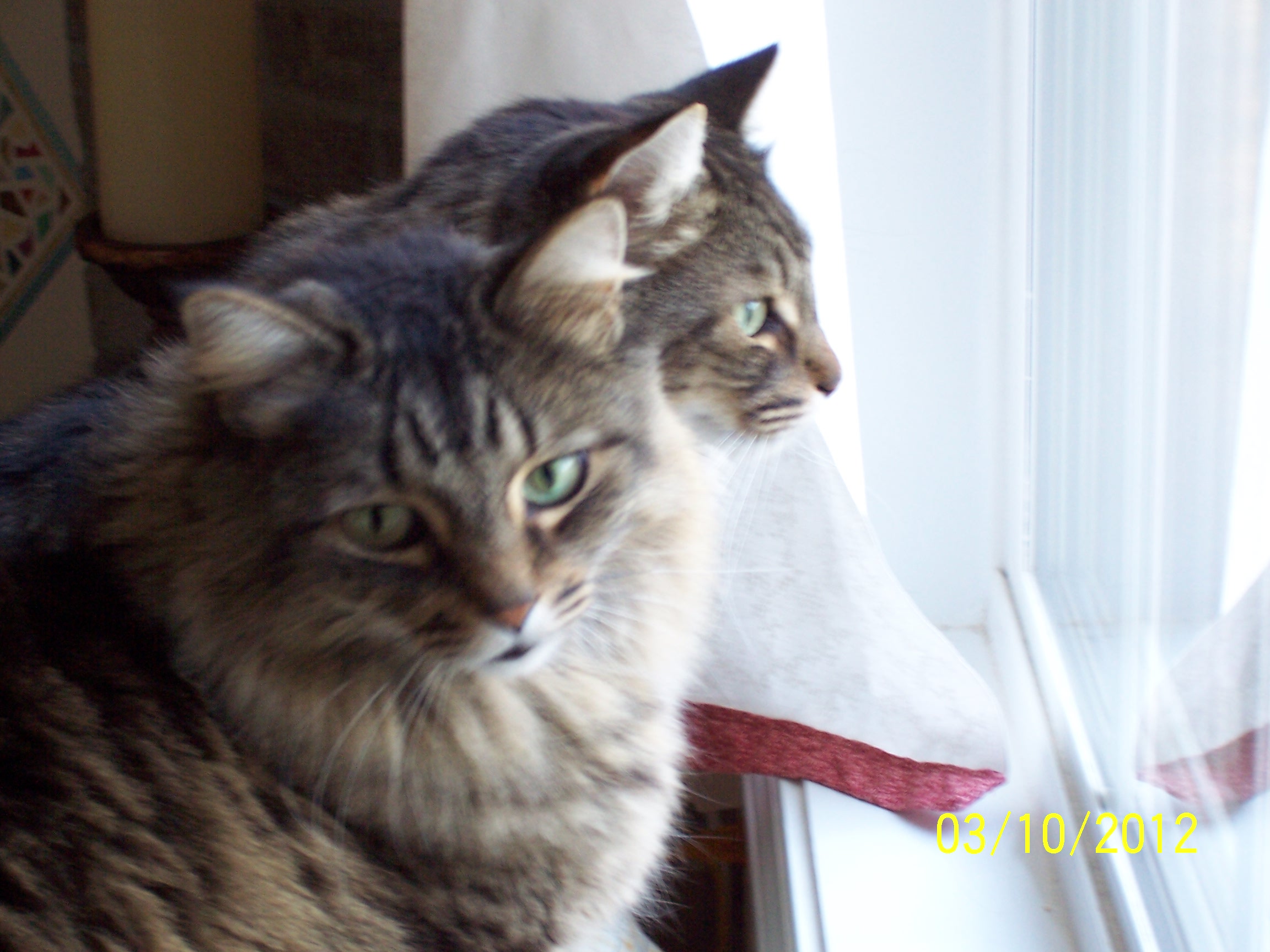 Pratt and Whitney at nook window close up.JPG