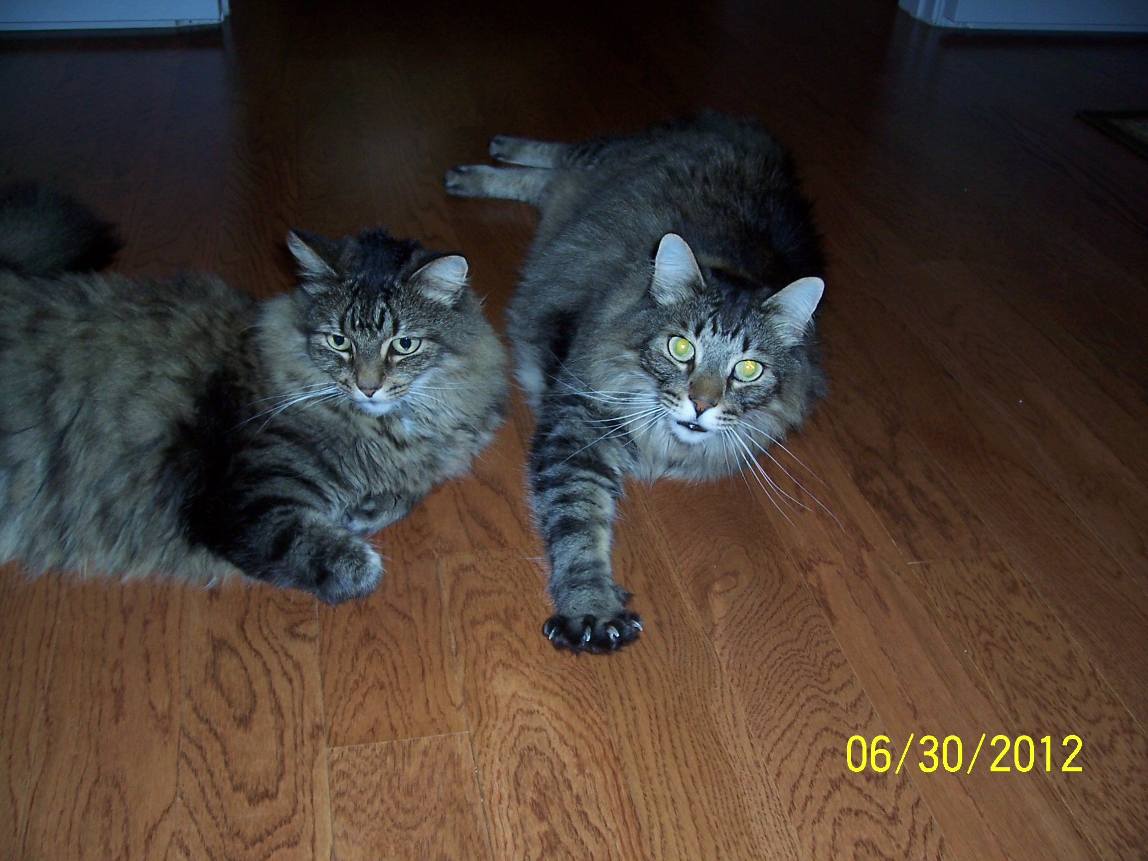 Pratt and Whitney on floor.JPG