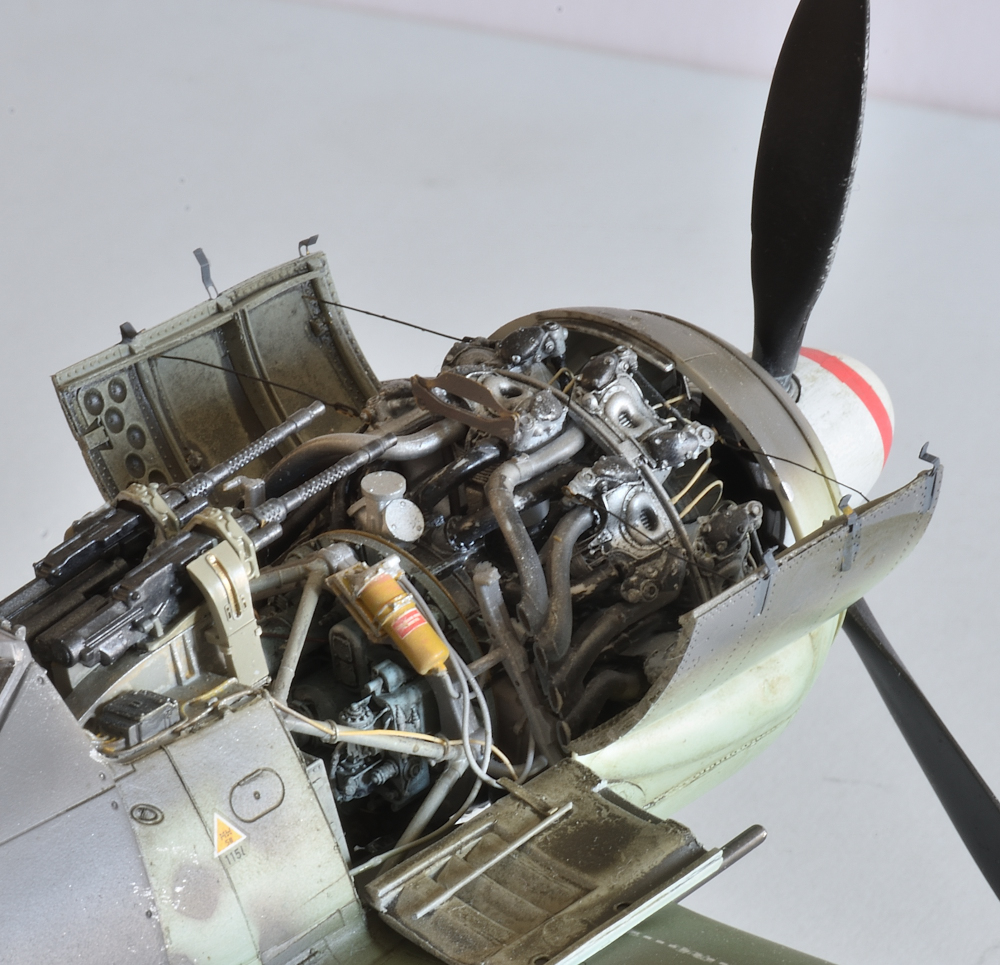 Revell 1.32 Stombock (11).JPG
