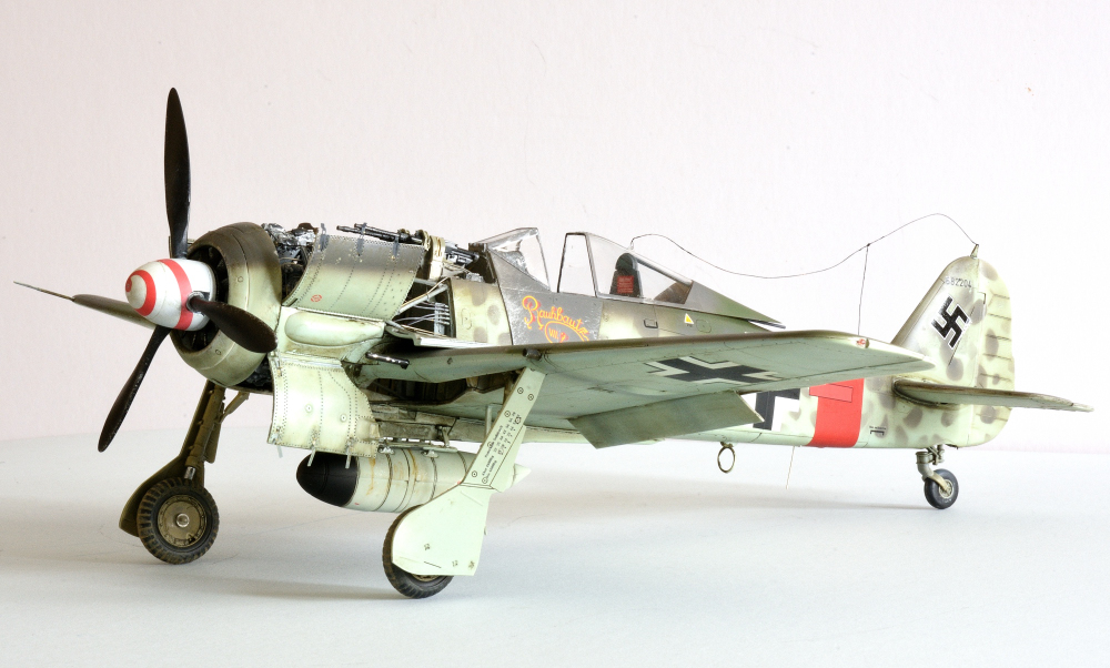 Revell 1.32 Stombock (4).JPG