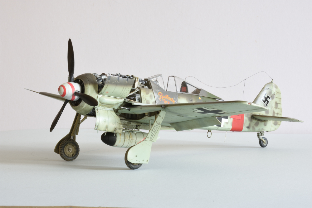 Revell 1.32 Stombock (9).JPG