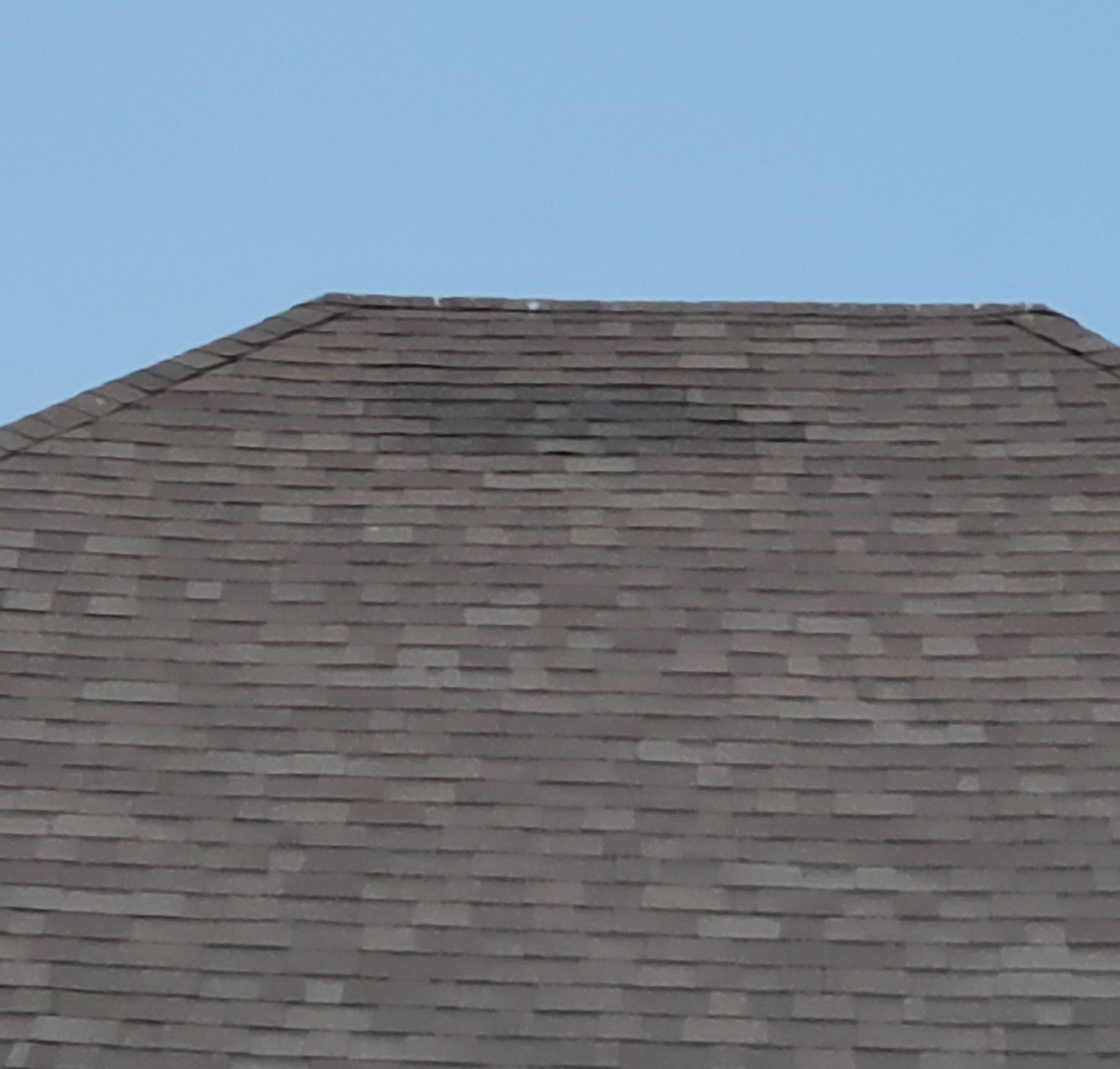 Roof board 2.jpg Roof board 2.jpg