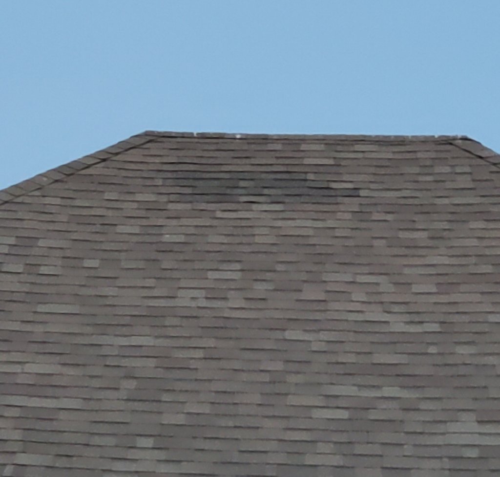 Roof board 3.jpg