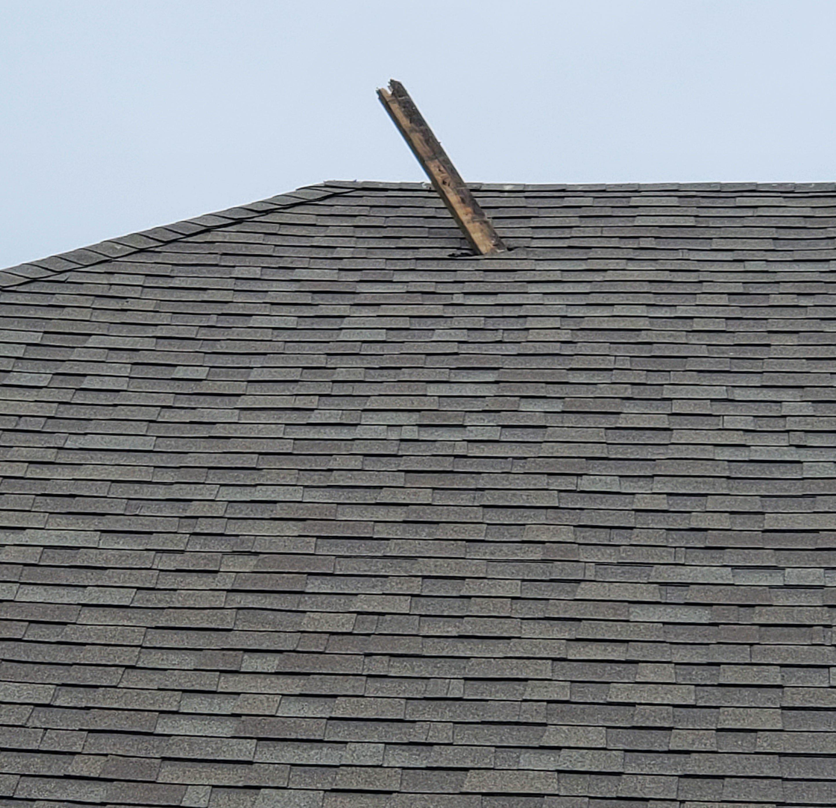 Roof board1.jpg Roof board1.jpg