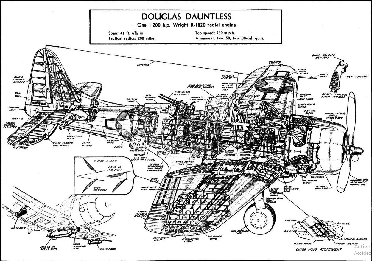 SBD-Cutaway.jpg