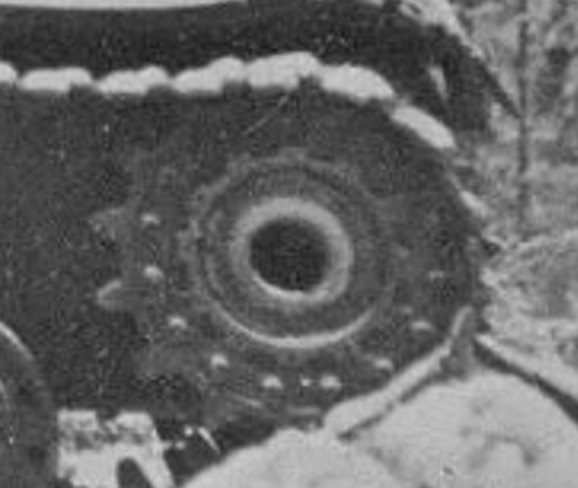 Screenshot 2025-12-29 162202.jpg