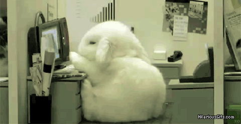 Sleepy Bunny.gif