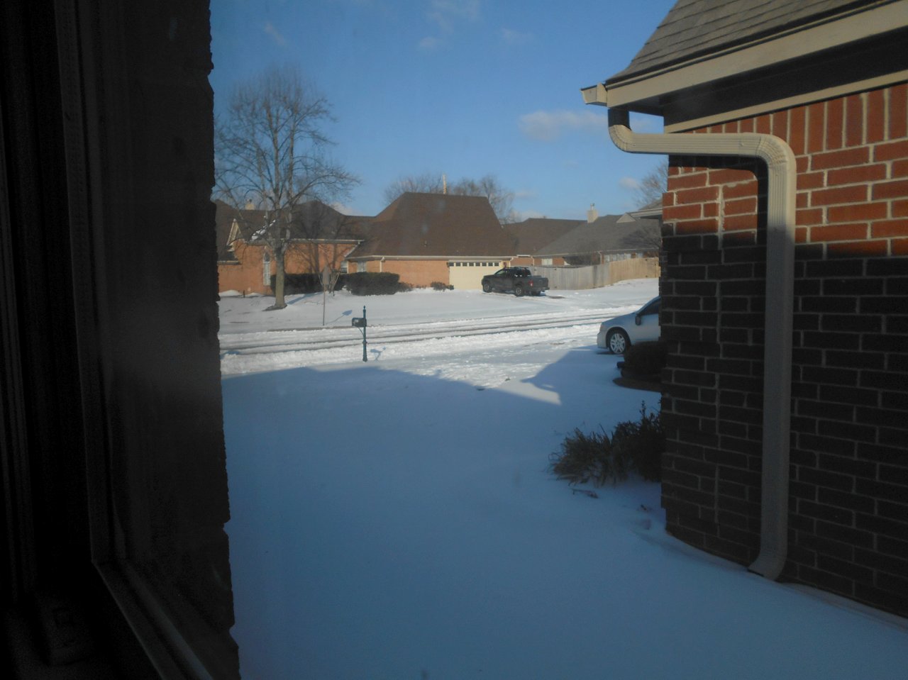 Snow Sat 2026-01-31.jpg