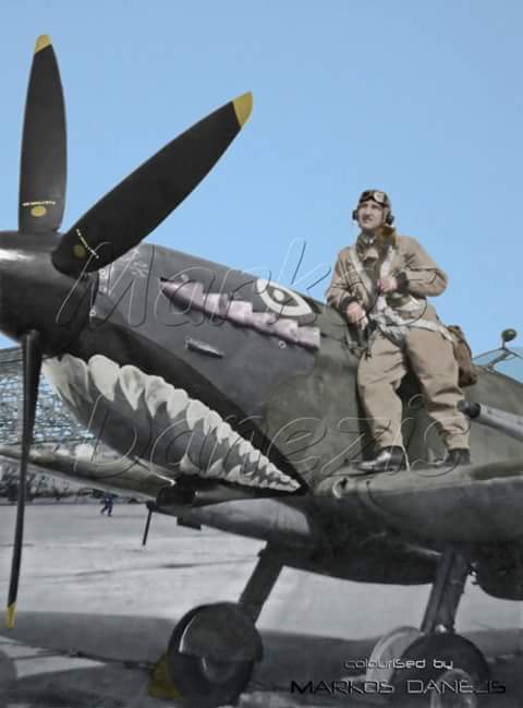 Spitfire Mk IXc Greek LF Mk IXc scrubelos Spit Nelly.jpg