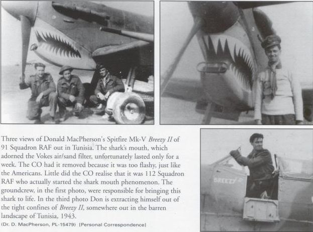 Spitfire Mk Vb Breezy II RAF 91th Squadron Tnez 1943.jpg