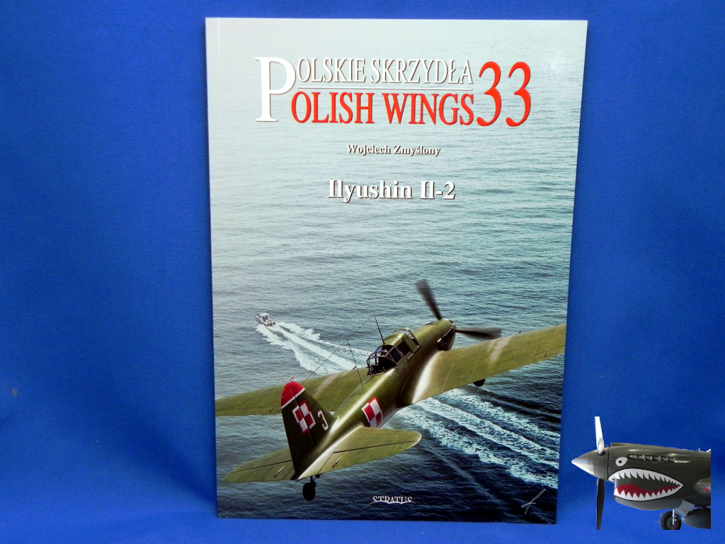 Stratus Polish Wings 33 Il-2.JPG