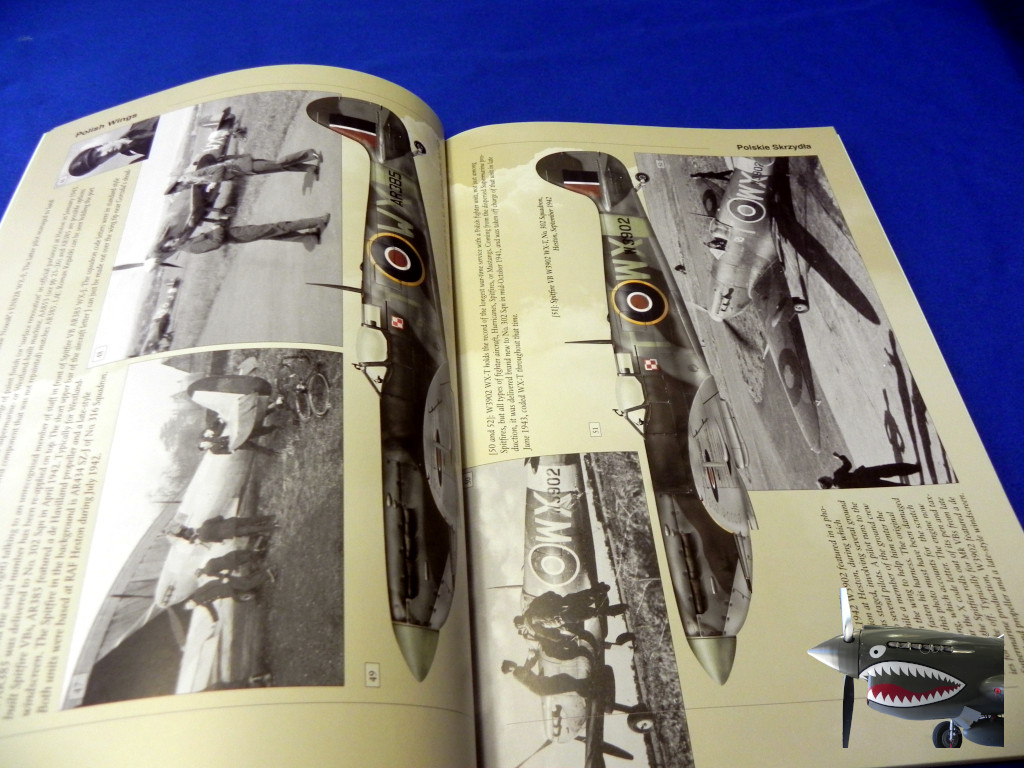 StratusPolishWings23SpitfireVv1b.JPG