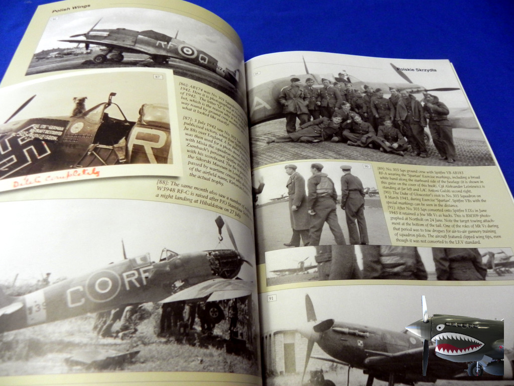 StratusPolishWings23SpitfireVv1c.JPG