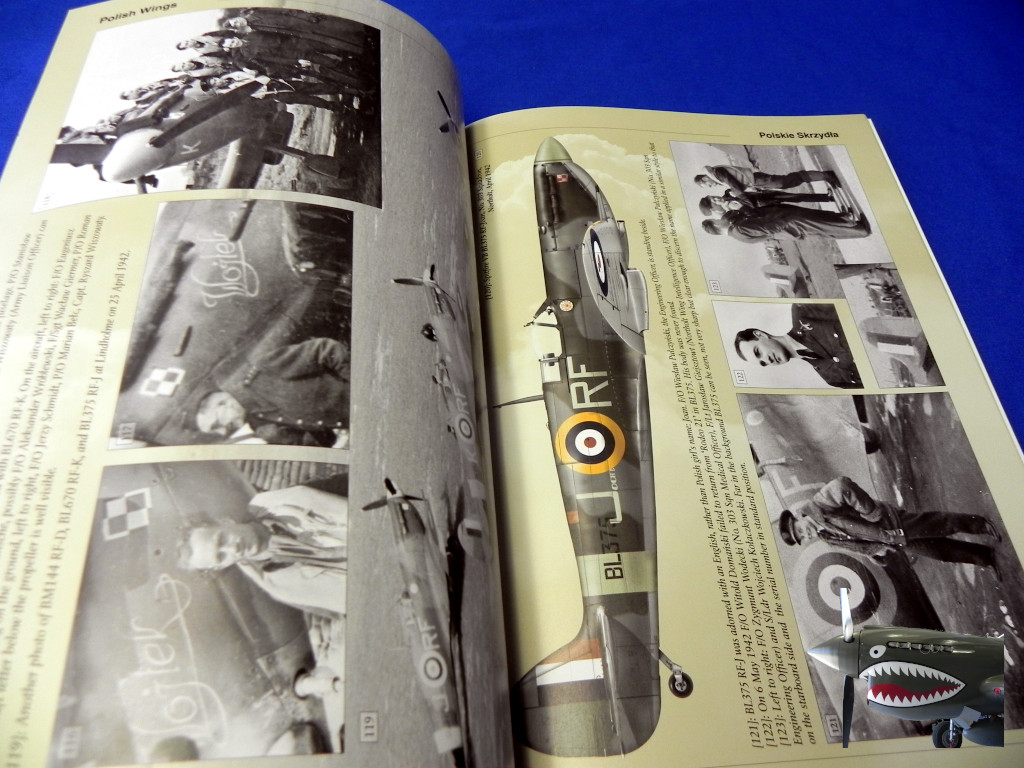 StratusPolishWings23SpitfireVv1d.JPG