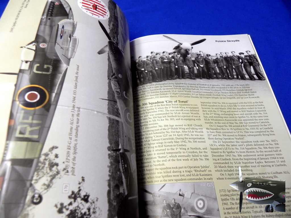 StratusPolishWings23SpitfireVv1e.JPG