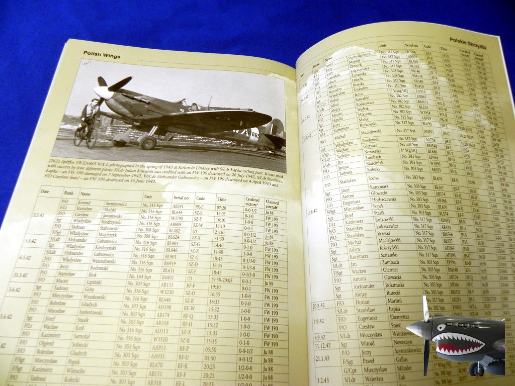 StratusPolishWings23SpitfireVv1f.JPG