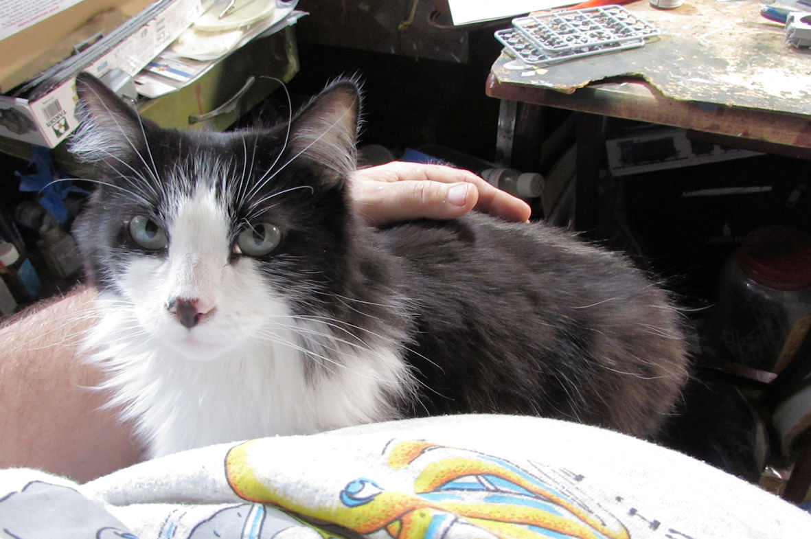 Sylvester Comfort.IV.jpg