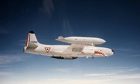 t-33 FAM 1.jpg