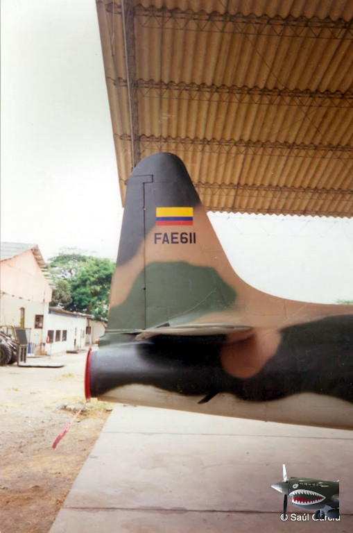 T-33FAE611tail.jpg