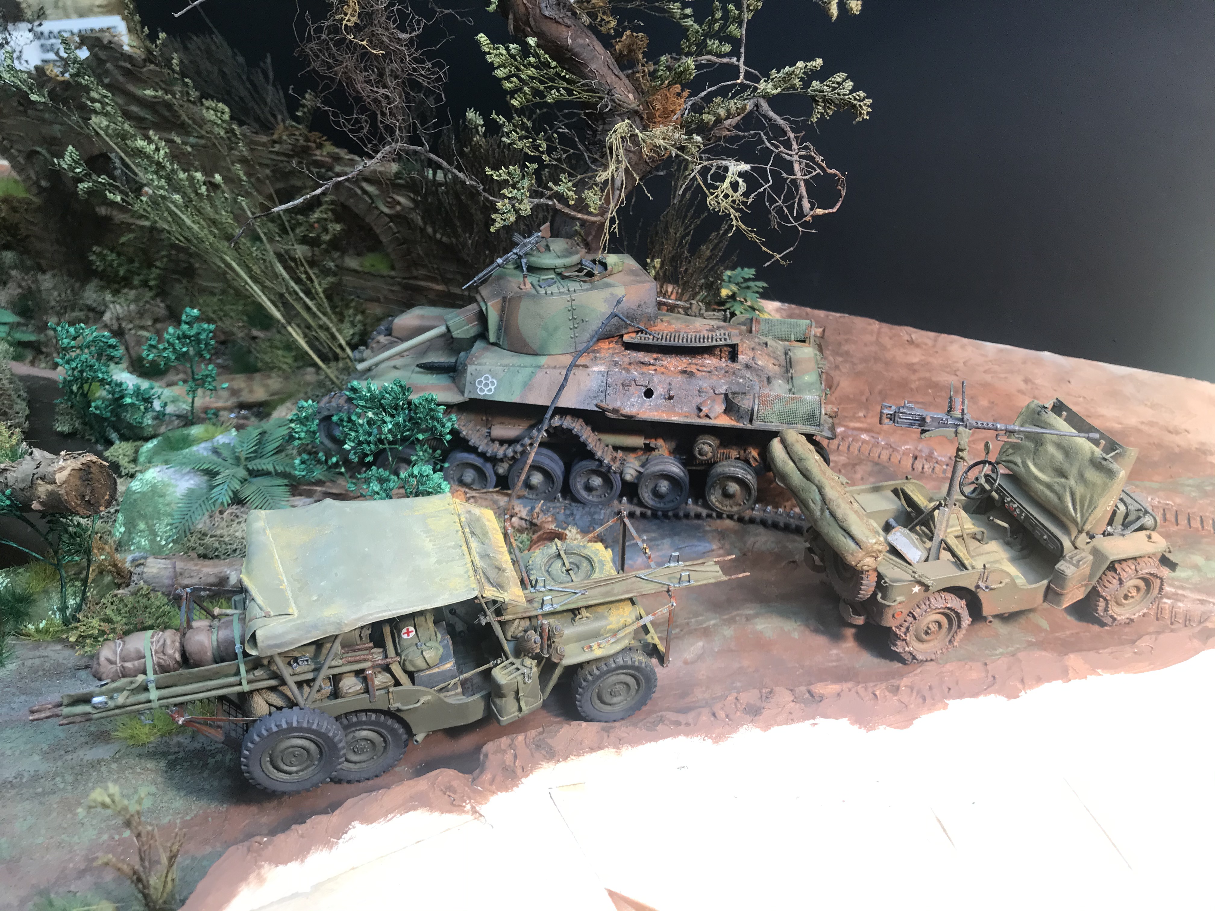 t971.jpg