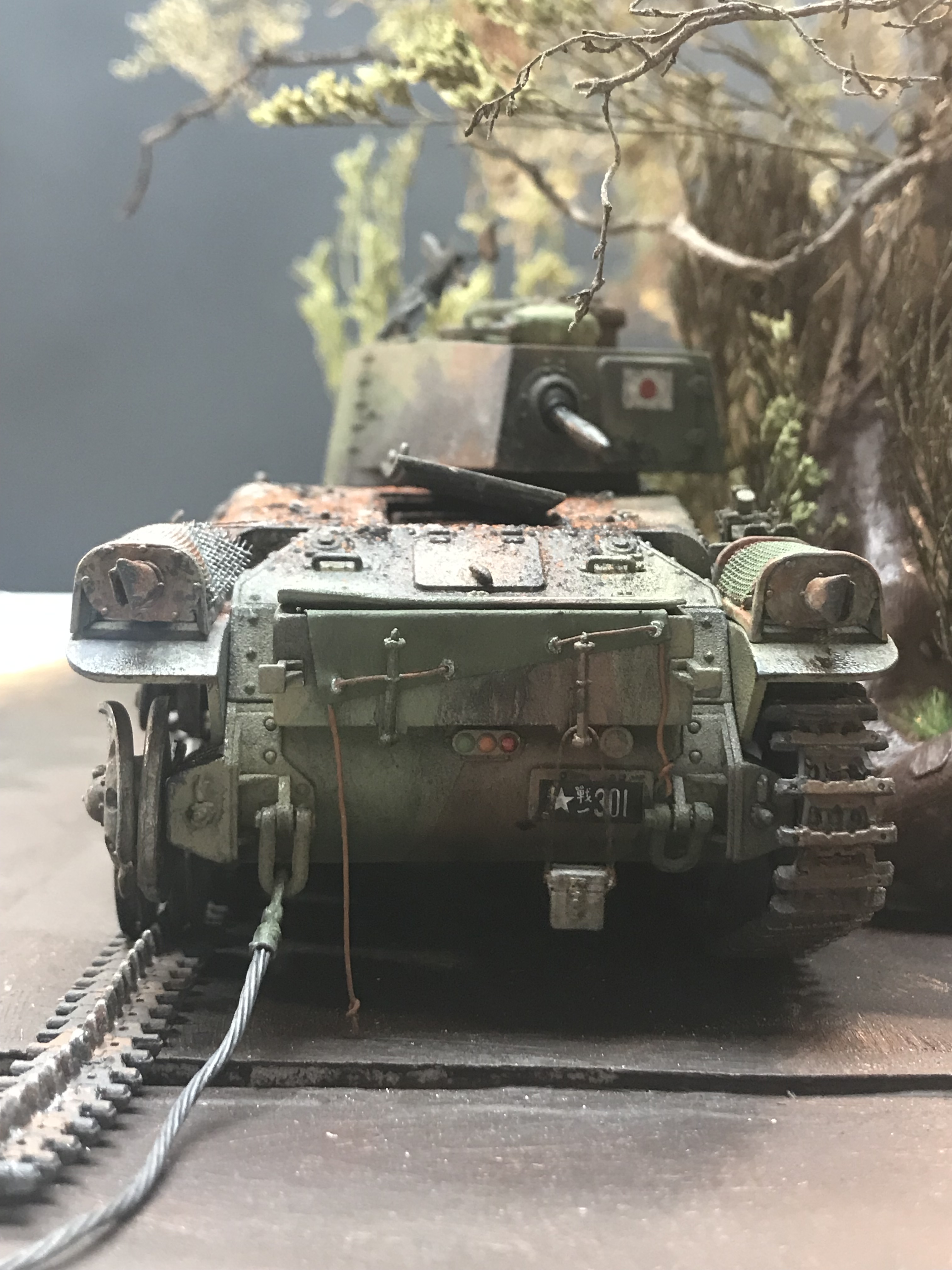 t9713.jpg