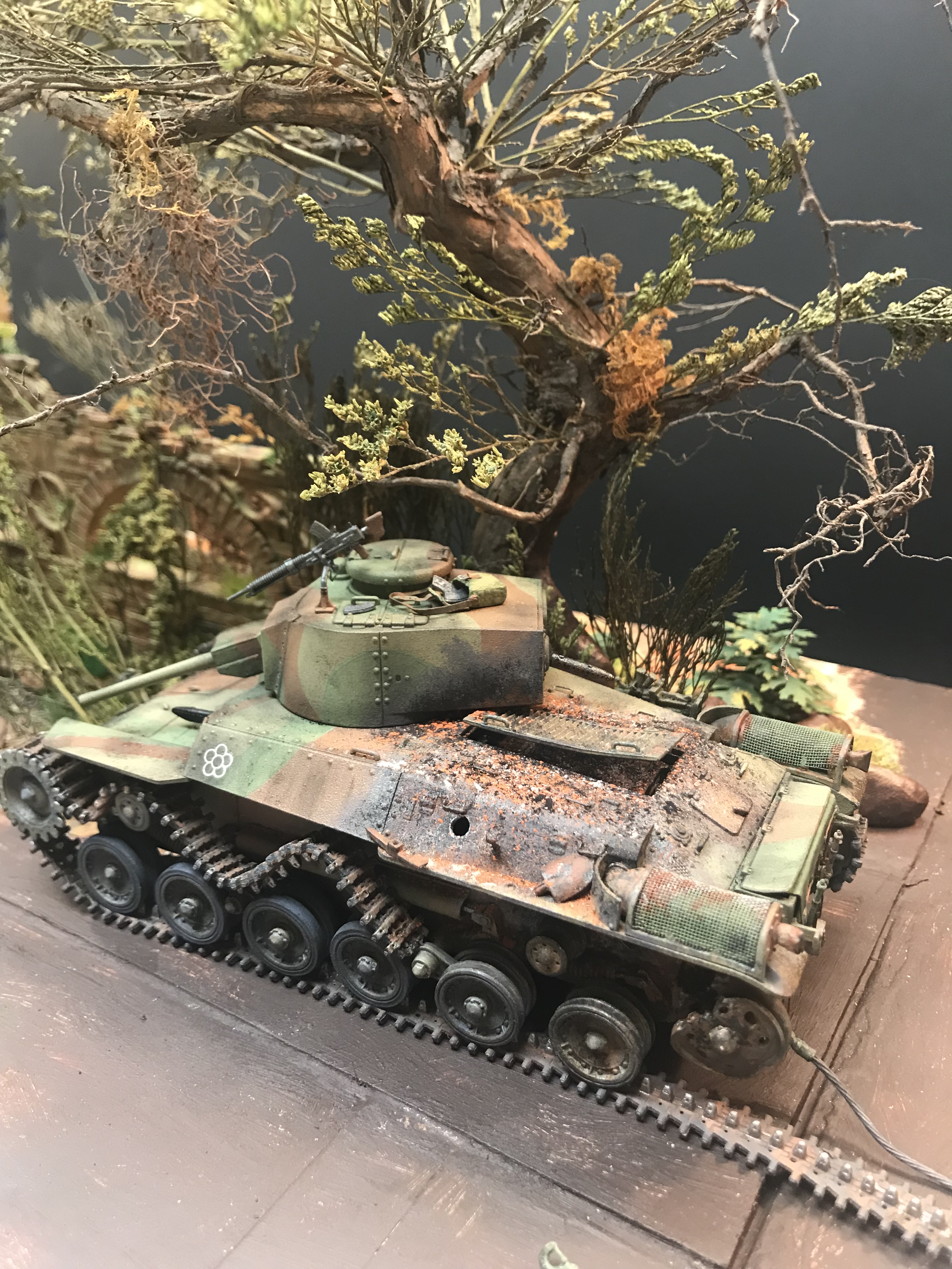 t972.jpg