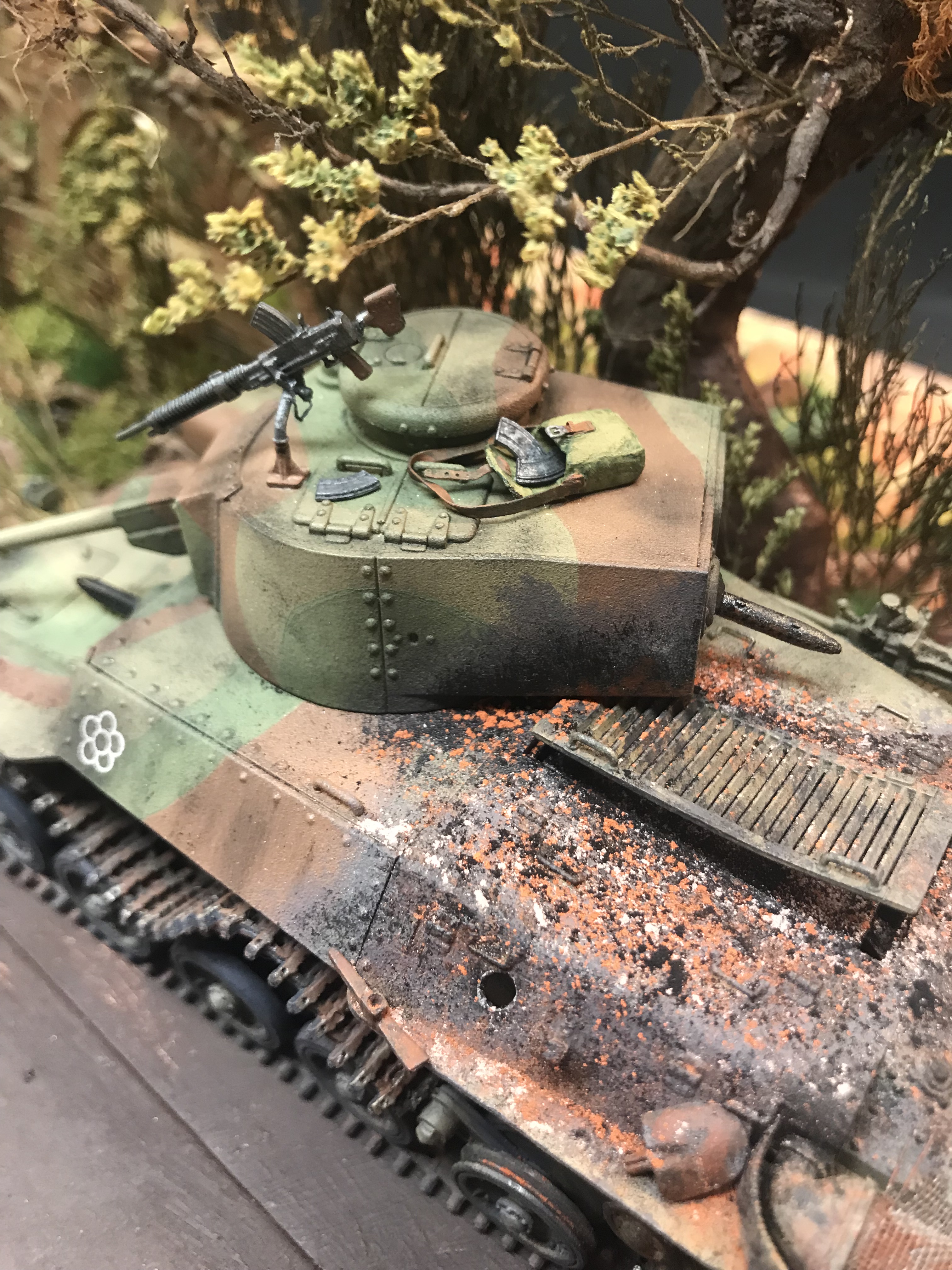 t976.jpg