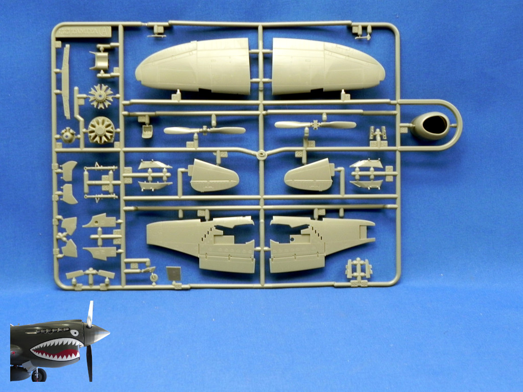 TamiyaP47Drazo72SprueAfront.JPG