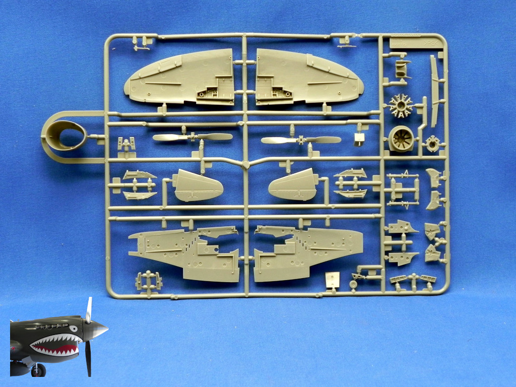 TamiyaP47Drazo72SprueArear.JPG TamiyaP47Drazo72SprueArear.JPG