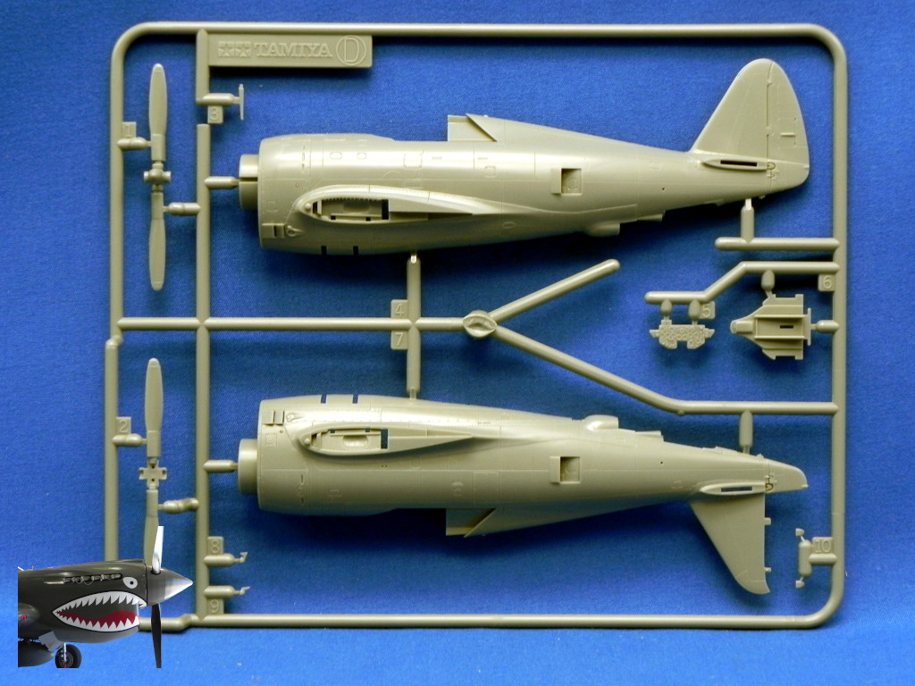 TamiyaP47Drazo72SprueDfroont.JPG TamiyaP47Drazo72SprueDfroont.JPG