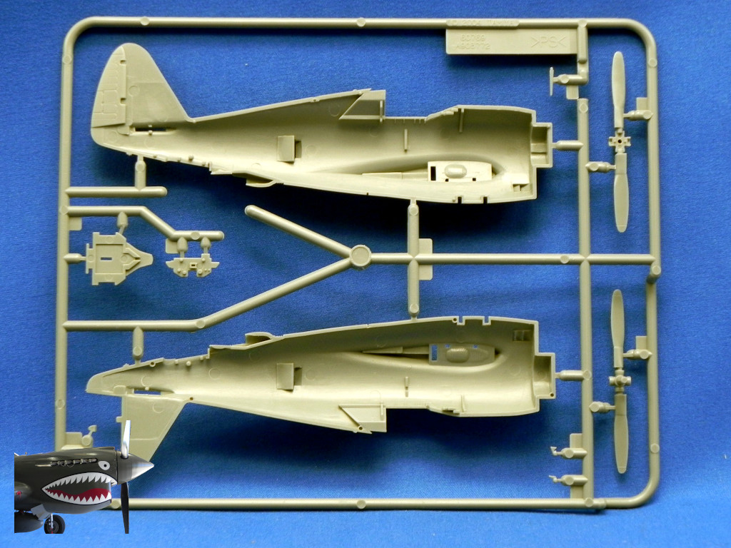 TamiyaP47Drazo72SprueDrear.JPG TamiyaP47Drazo72SprueDrear.JPG